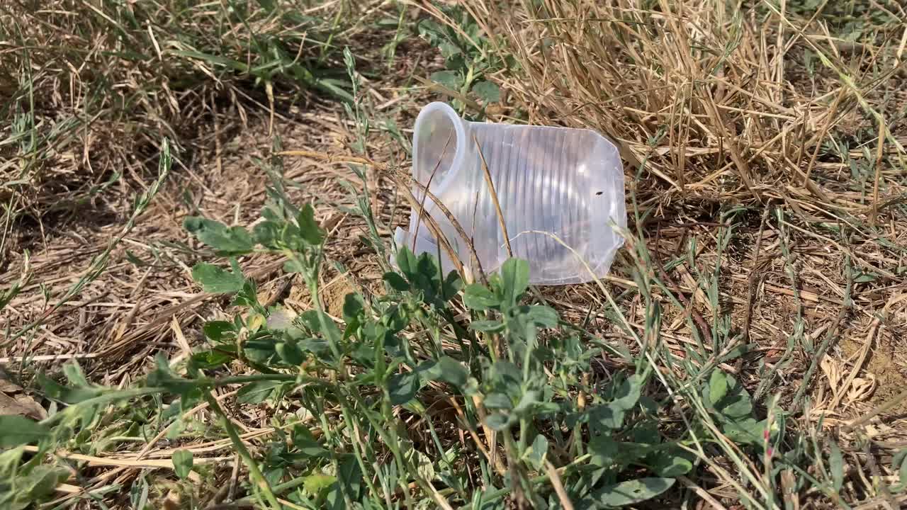 una taza de plástico transparente fue abandonada en medio de un campo después de un picnic, contaminando la naturaleza y el medio ambiente