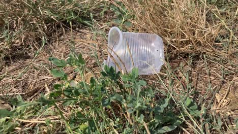 a clear plastic cup was abandoned in the middle of a field after a picnic, polluting nature and the environment