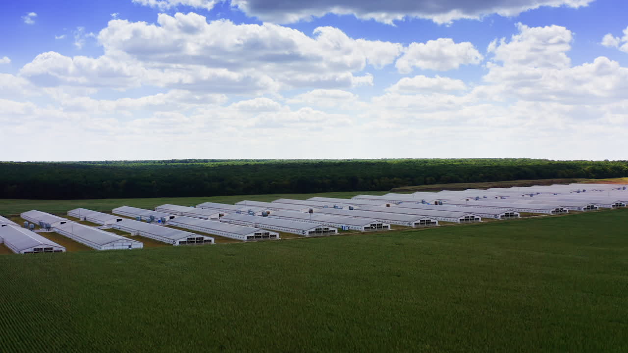 Poultry farm in a field. Modern industrial and agricultural buildings. View from above.