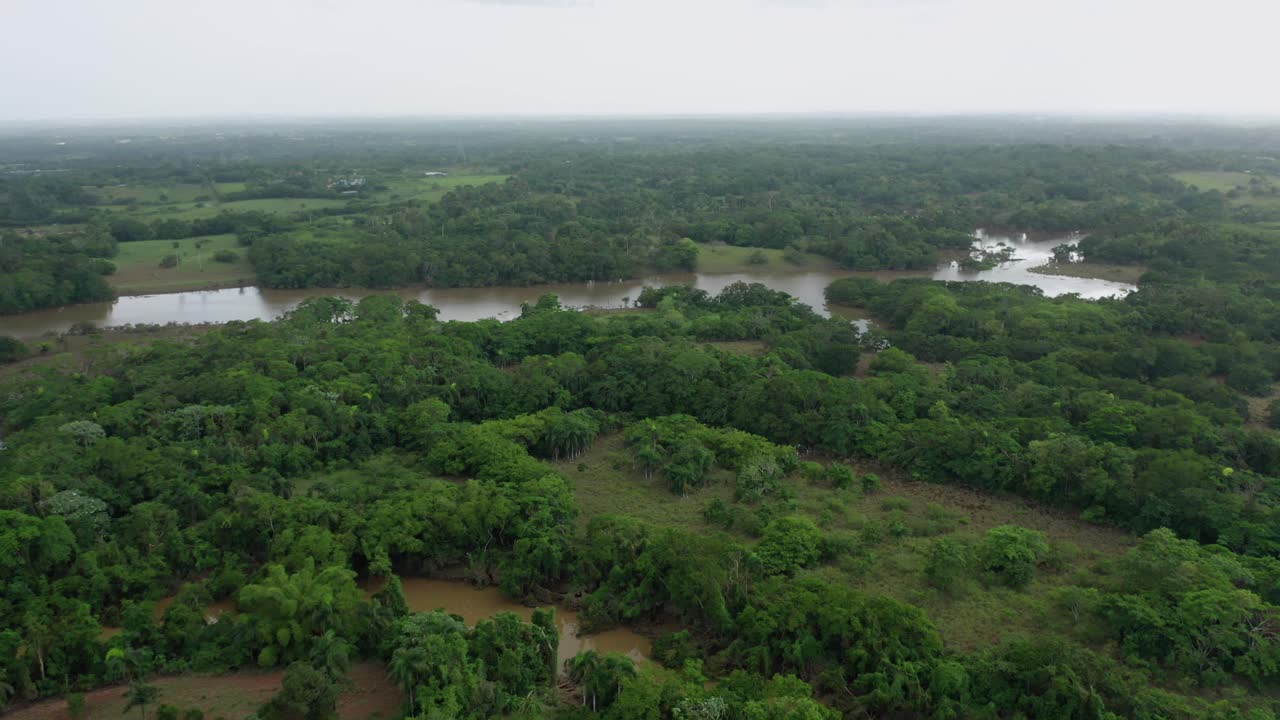 vista de los humedales en república dominicana. órbita aérea