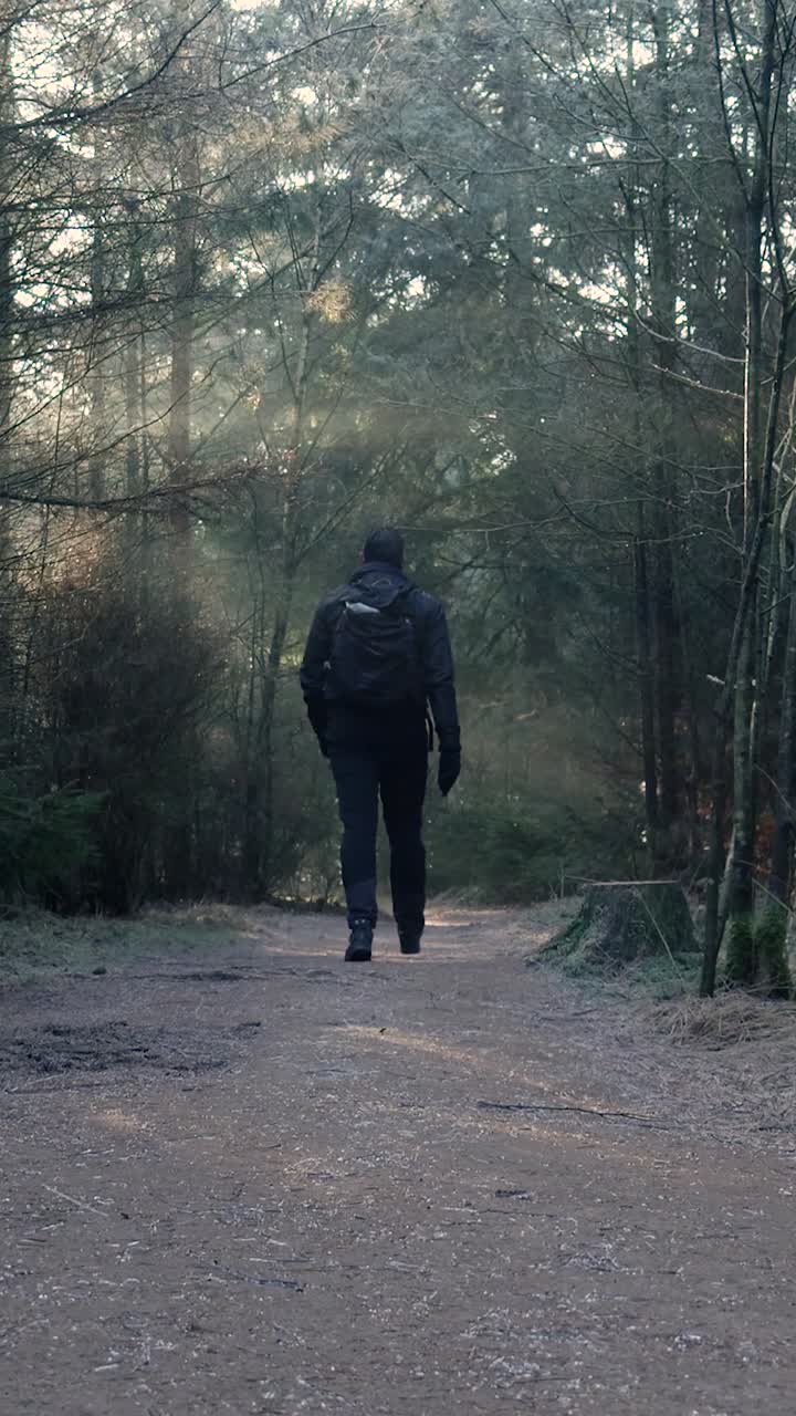 hombre caminando en un bosque de niebla