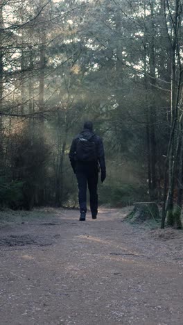 man hiking in a foggy forest