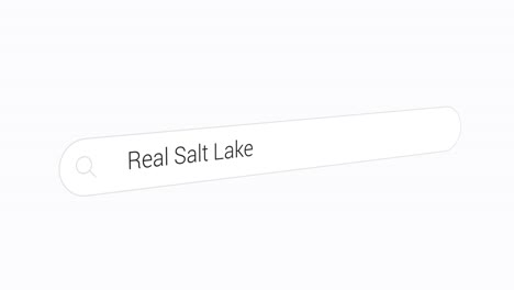 browsing the net for real salt lake