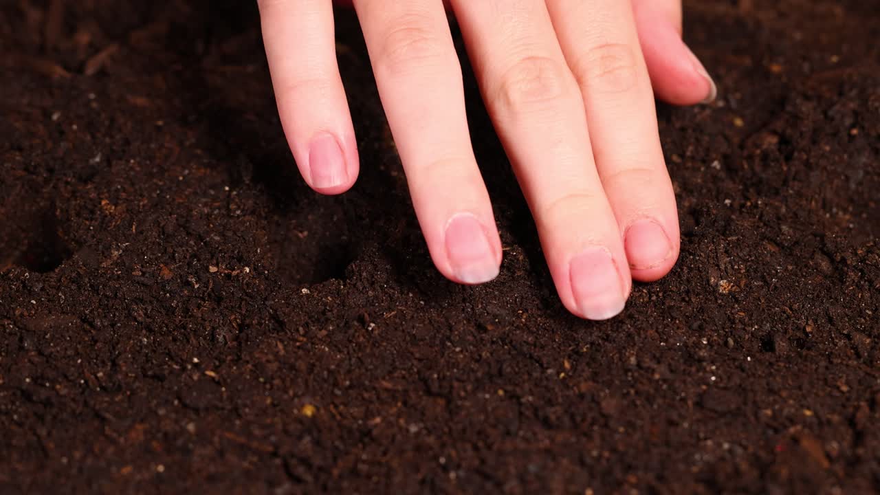 A hand plants seeds in dark, rich soil, highlighting gardening techniques and nurturing growth