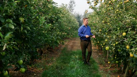 man with digital tablet examining plants 4k