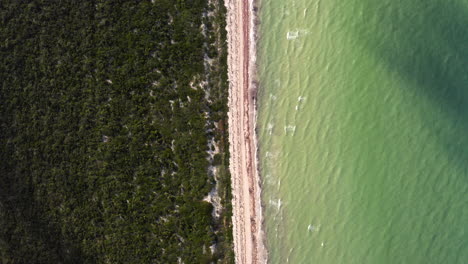 estrecha franja de playa de arena que divide el exuberante follaje de árboles y el mar verde