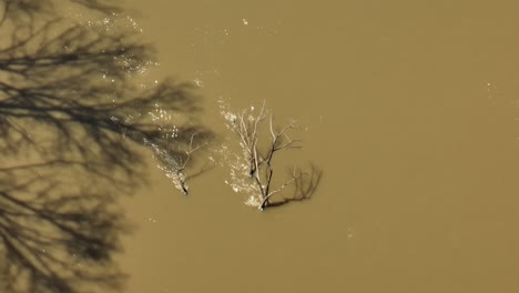 Volando-Sobre-El-Río-Y-Los-árboles-Secos-Y-Desnudos-En-El-Refugio-Nacional-De-Vida-Silvestre-Lower-Hatkie-En-Tennessee,-EE.UU.---Disparo-De-Un-Dron