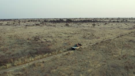 conducción de vehículos en pastizales africanos en la sabana de namibia, toma aérea de establecimiento