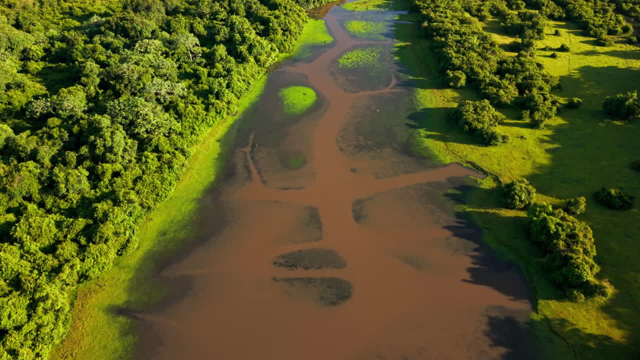 Imagens de drone sobrevoando um rio marrom sinuoso cercado por planícies verdes exuberantes e floresta.