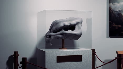 modern sculpture in a museum display case