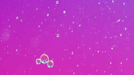 animación de burbujas que se mueven sobre un fondo púrpura con espacio de copia