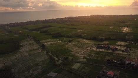 Vista-Aérea-De-La-Puesta-De-Sol-Del-Campo-De-Arroz-Con-El-Paisaje-Marino-Del-Océano-Isla-De-Los-Dioses-área-De-Bali-Canggu