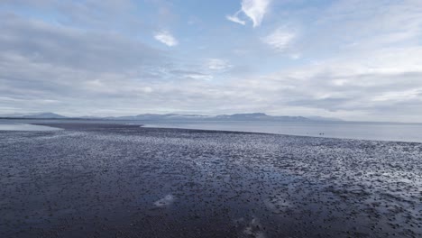 Tagesflug-über-Den-Strand-Von-Dundalk-Bay-In-Richtung-Wasser-Mit-Verstreuten-Vögeln