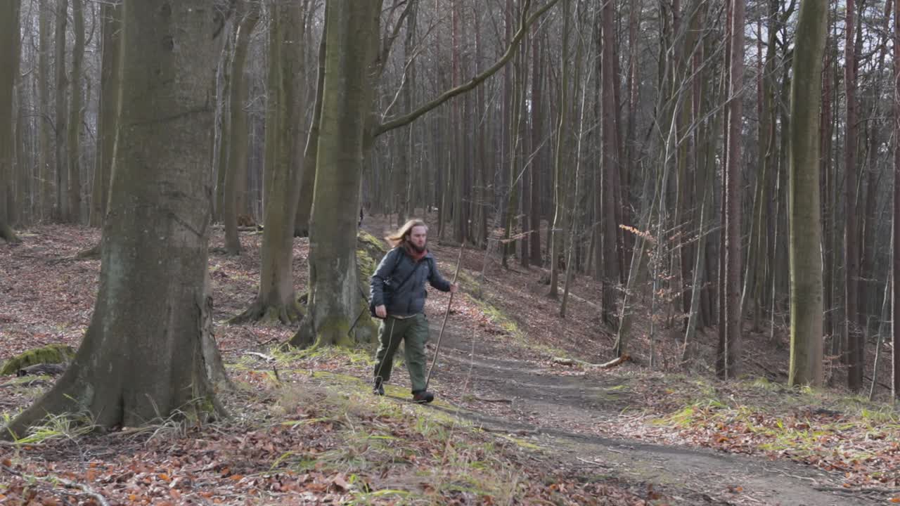 Male tourist with long hair geared up walking through the woodland using a found walking stick