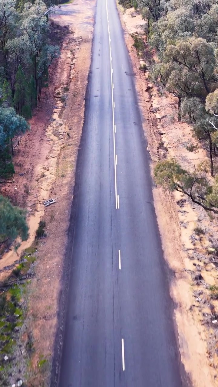 Ripresa aerea con drone di un'autostrada remota circondata da alberi di eucalipto nella foresta di Goonoo.