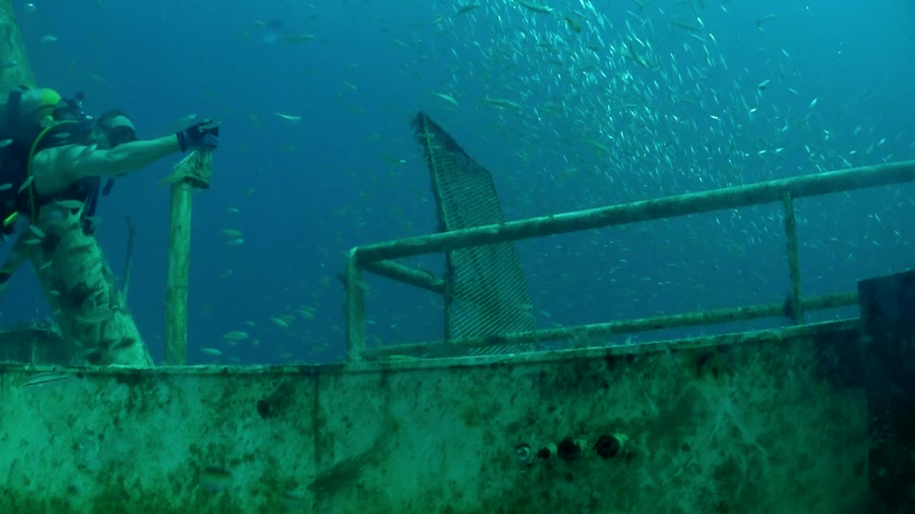 잠수부들이 난파선을 탐험하다