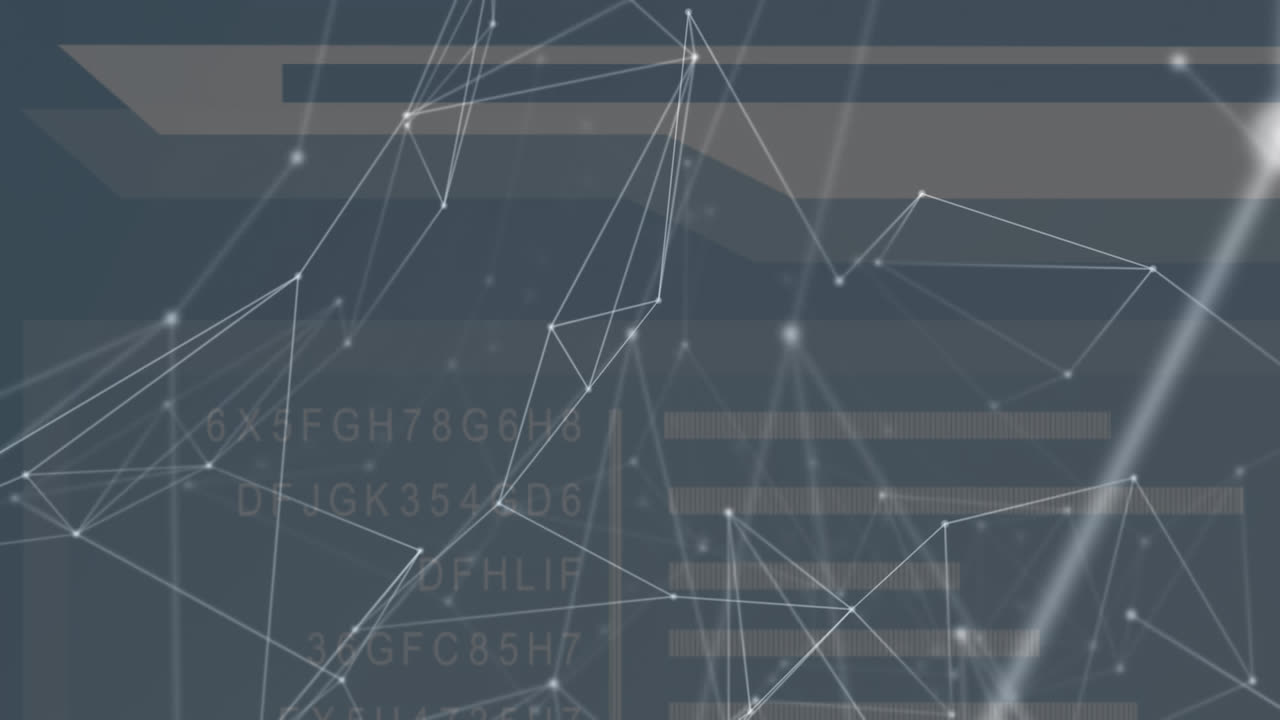 animación de la red de conexiones a través del procesamiento de datos