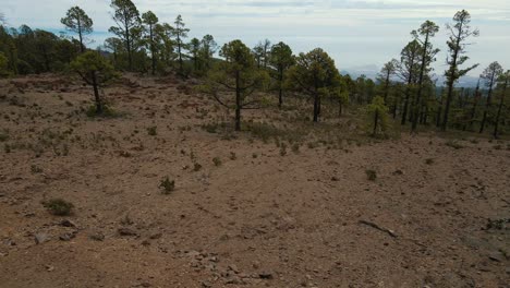 Tiro-Revelador-Hacia-Abajo-De-Un-Bosque-Al-Lado-De-Una-Carretera-De-Montaña,-Dos-Personas-En-Una-Furgoneta-Azul