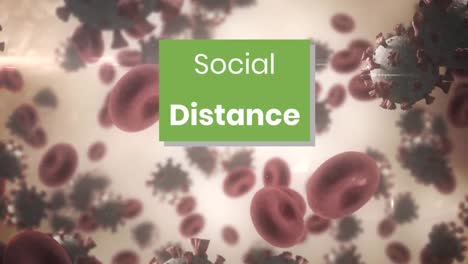 Social-distance-text-on-green-banner-over-multiple-covid-19-cells-and-blood-vessels-floating