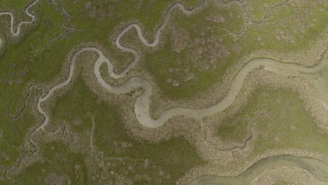 aerial view of a winding marsh estuary