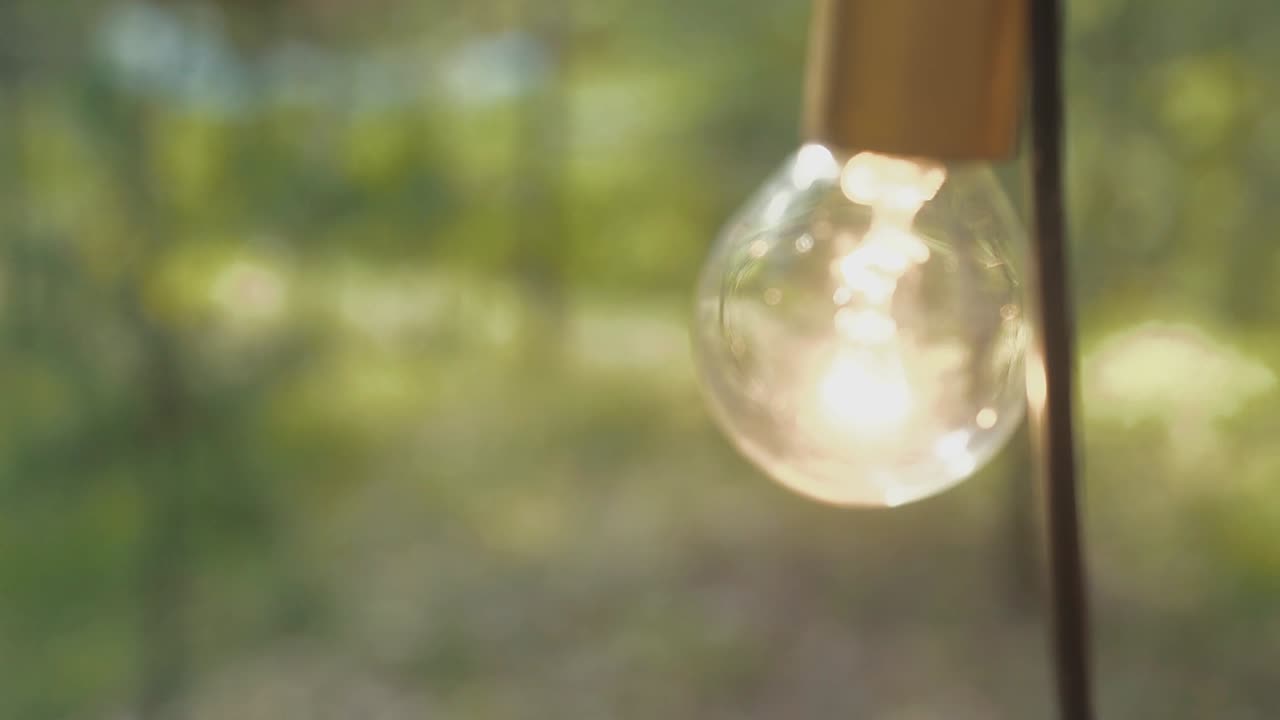 산불이 숲에서 켜져 있습니다. 1