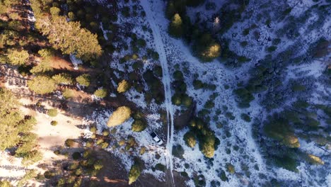 aerial drone top down over forest with pickup truck in mammoth lakes california usa