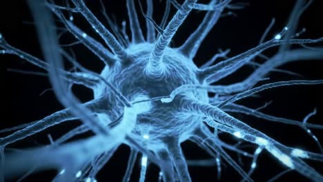 exploring the intricacies of neuron structure: a close-up view of the neuron cell body and dendrites revealing the complexity of neural networks