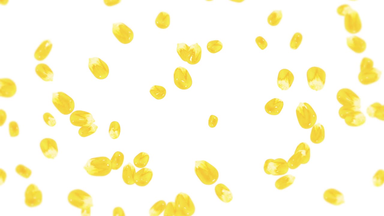 Molti chicchi di mais che volano su sfondo bianco. Semi di mais dolce gialli. Vegetariano. Cibo sano. Animazione 3D in loop di mais che ruota