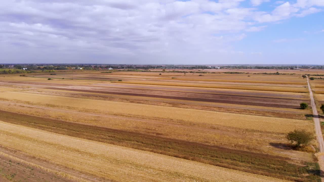 Beautiful agricultural video during a beautiful sunny day
