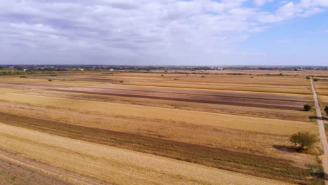 hermoso video agrícola durante un hermoso día soleado