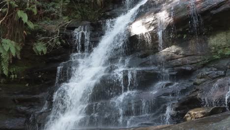 somersby falls cerca de sydney australia con helechos en el parque nacional de agua de brisbane, tiro cerrado