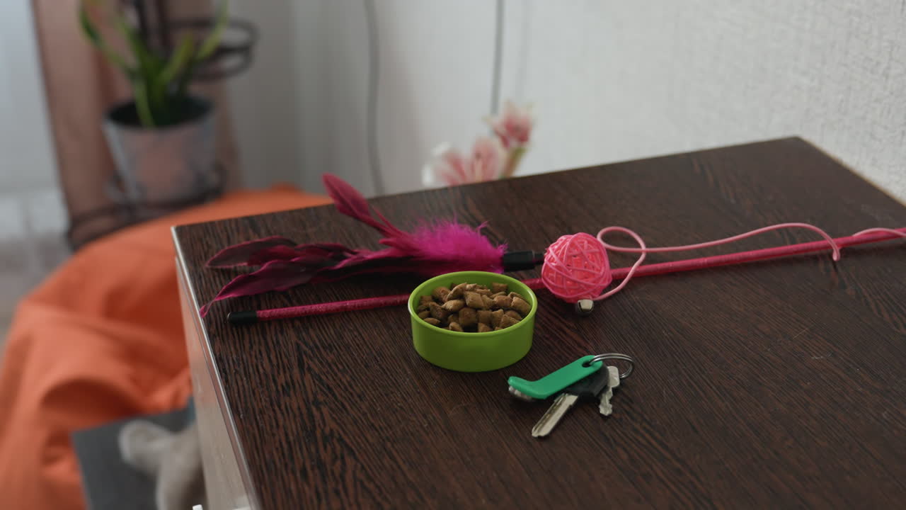 Pet Care Arranged, Organizing Pet Essentials Carefully And Creating Comfortable Environment, Meticulously Setting Up Pet Supplies And Designing Welcoming Area With Entertainment Items