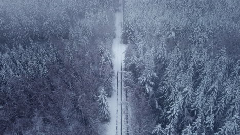 fly over snow-covered road between dense forest woods against foggy sky