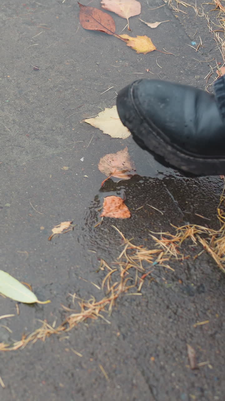 Water puddle on wet paved path scattered with colorful autumn leaves and pine needles reflecting bare trees above, as black boot gently steps near edge during peaceful overcast day