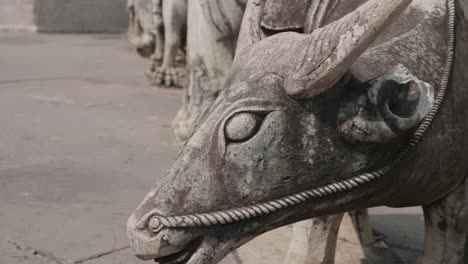 rising shot of ox statue on the courtyard of a temple. 4k slow motion.