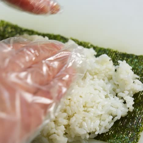 chef in gloves is cookiing sushi. sushi are made of rice, nori seaweed, cucumber, cream cheese. appetizing and nutritious food concept
