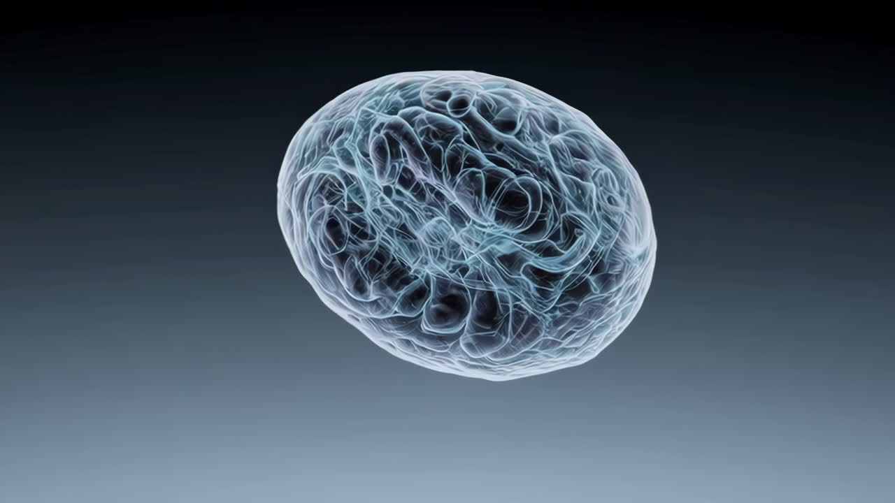 Abstract Brain or Neural Network Visualization