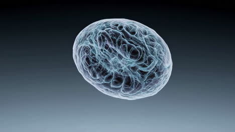 abstract brain or neural network visualization