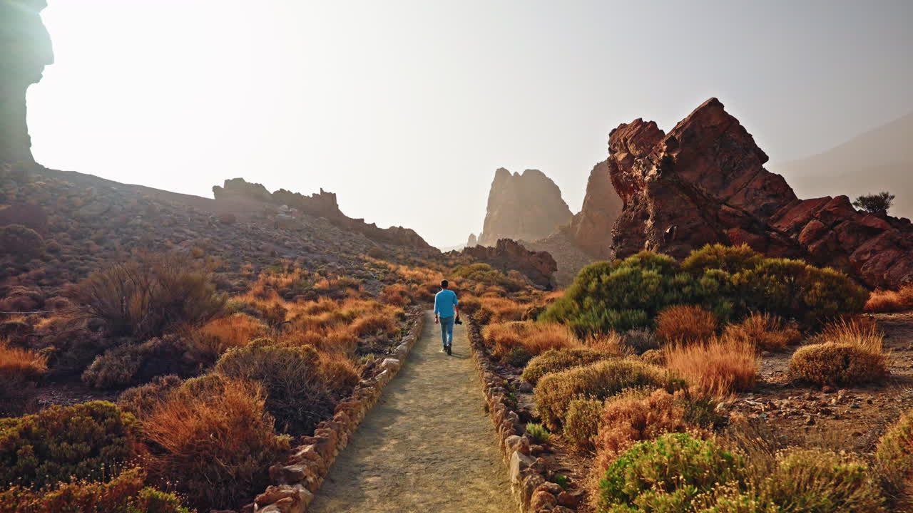 Panoramic view of El Teide National Park.
Volcanic landscape, Tenerife, Canary islands, Spain.