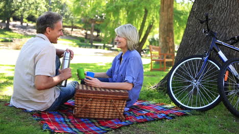 una pareja feliz haciendo un picnic en el parque