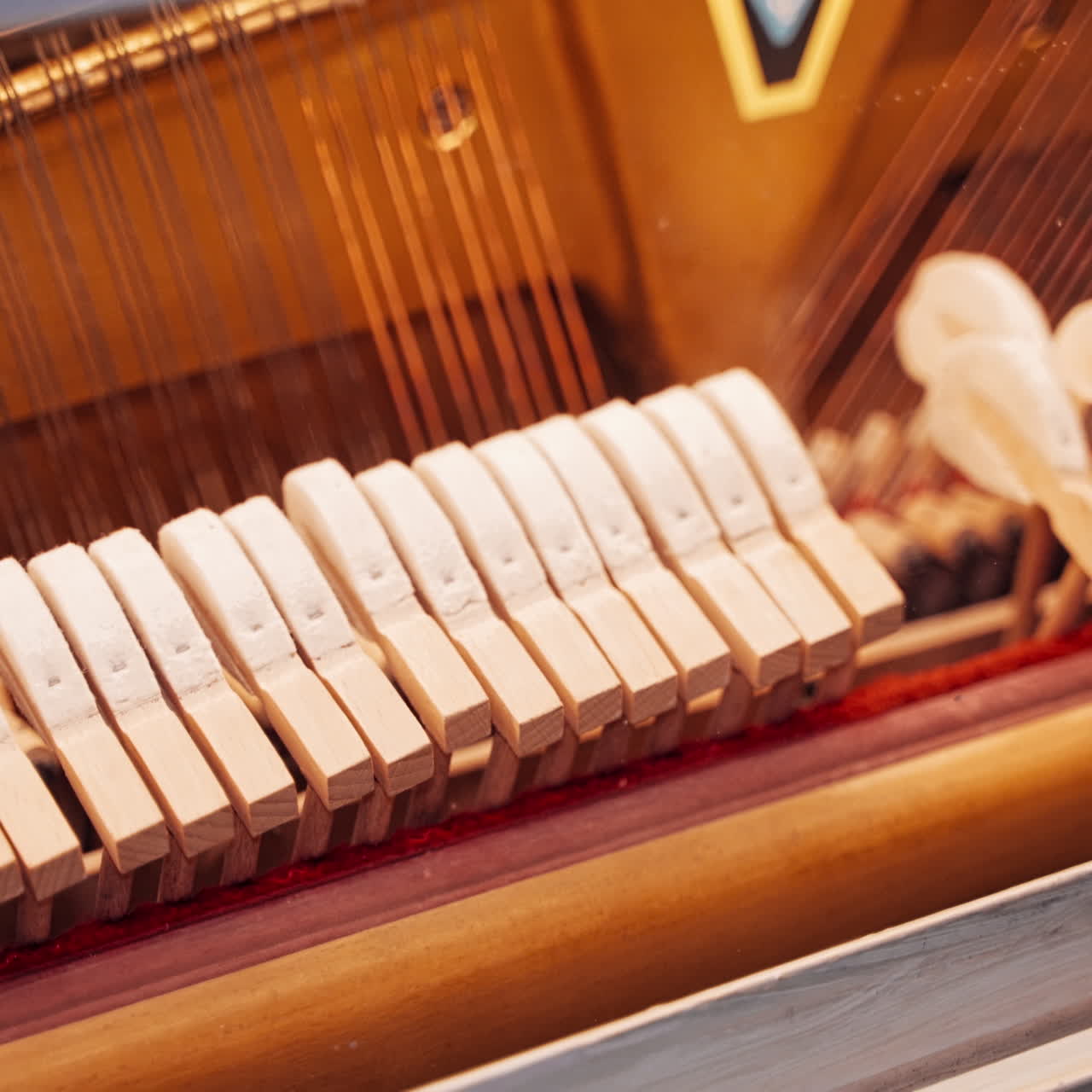 Piano play. The mechanism of the piano works. How does the piano.