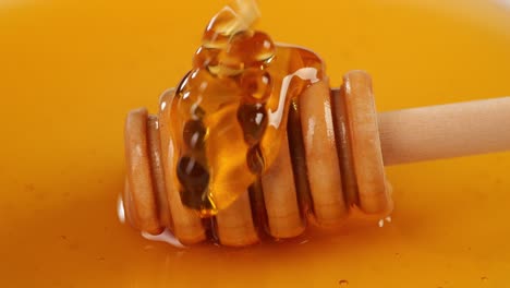 piccione di miele con spruzzo di miele