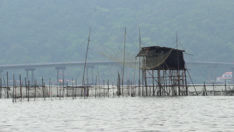 fish barricade in waters of indonesia, still wide angle shot