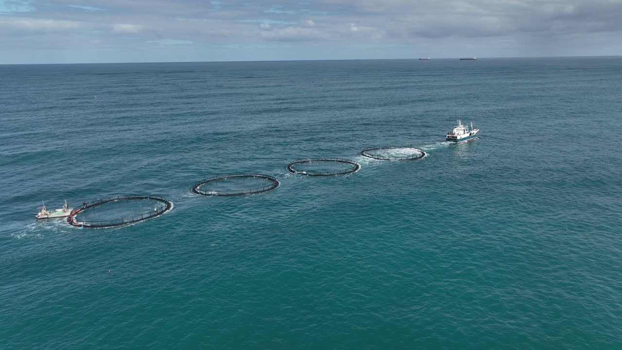 바다 에 있는 어류 농장 의 공중 사진