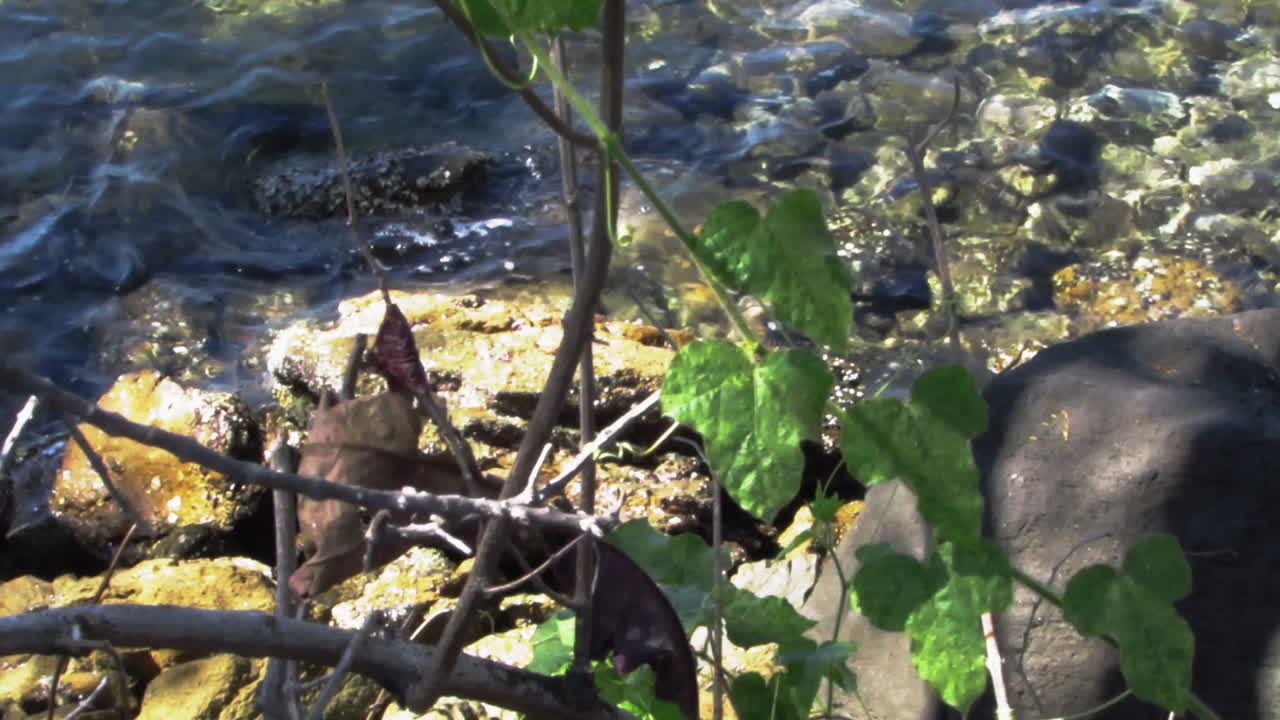 Relaxing Rocks and Beach Wave View At Olongapo City, Philippines