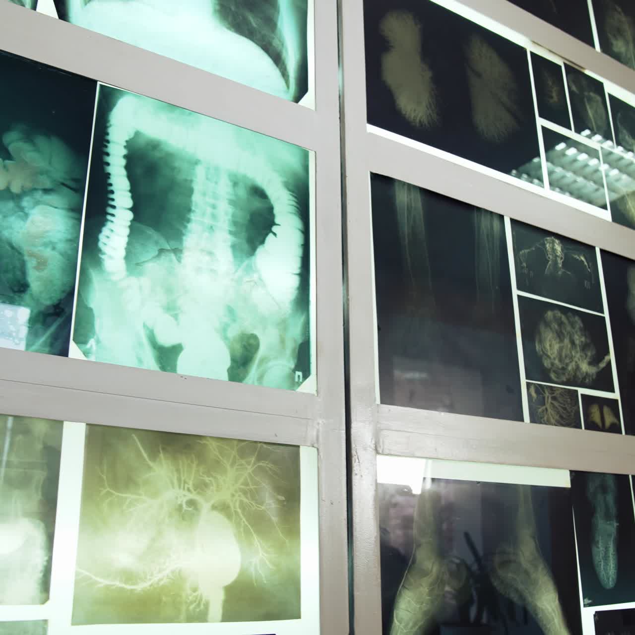 Interior view of anatomical museum. Anatomy exhibition of the human body