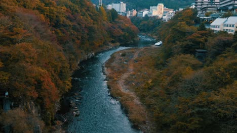 beautiful autumn landscape with trees and green leaves