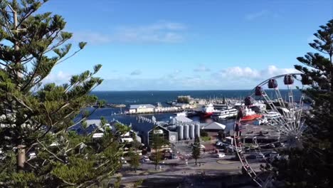 Dron-De-Vista-Aérea-Volando-A-Través-De-Las-Copas-De-Los-Pinos-Para-Ver-La-Rueda-De-La-Fortuna-Y-El-Puerto-De-Barcos-De-Pesca-De-Fremantle-En-El-Oeste-De-Australia