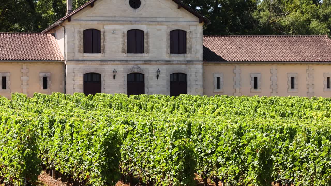 Grape vines and estate building in Saint Emilion
