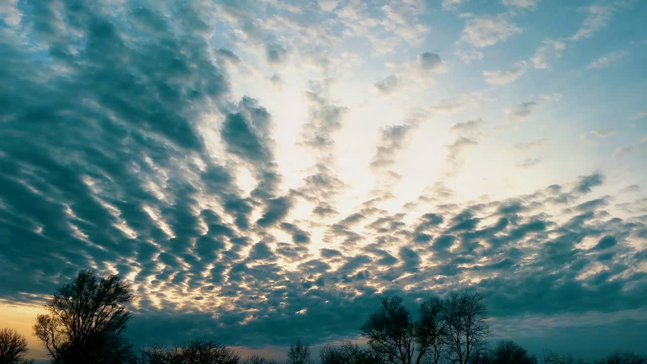 altocumulus clouds with near field of view trees provide ultimate road trip dreaming